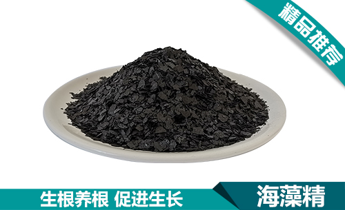微信图片_20230619160040.jpg