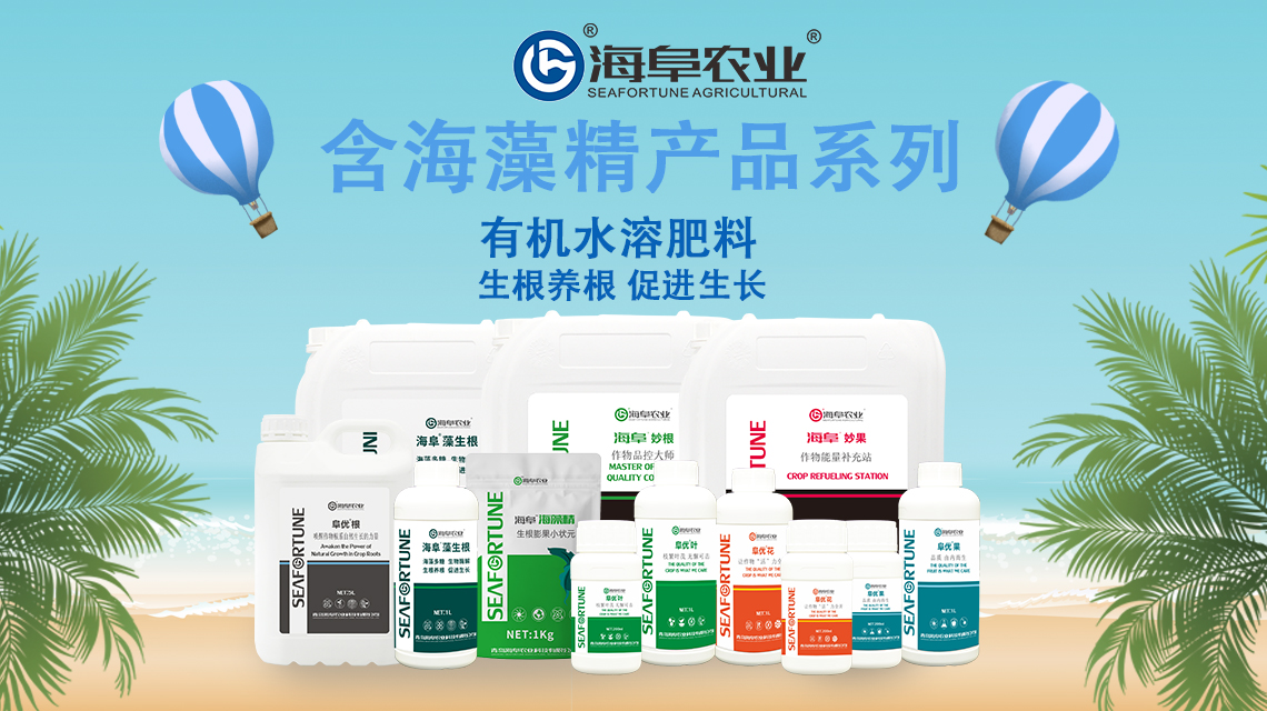 海藻精产品