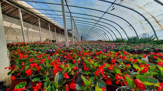 给花施肥用什么好