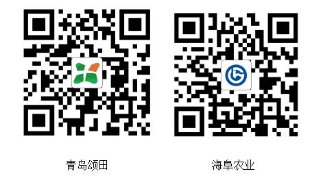 公司官网二维码