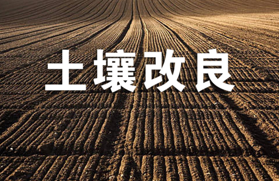 地里的盐分太高怎么调整