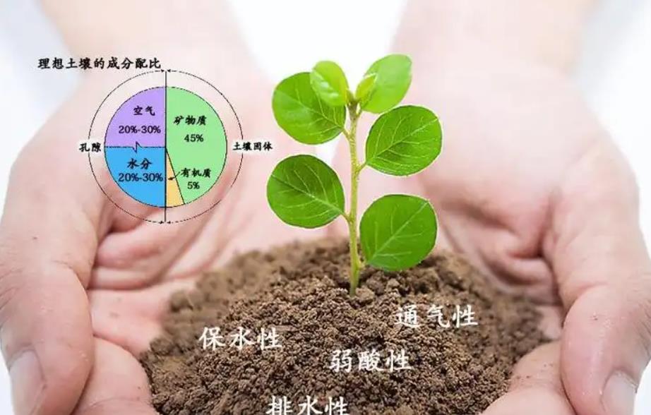 调节土壤酸碱度用什么最好