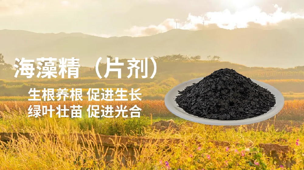 海藻精生根好还是复硝酚钠好