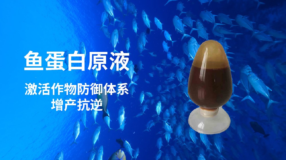 鱼蛋白原浆对植物的作用探究及在植物栽培中的应用价值