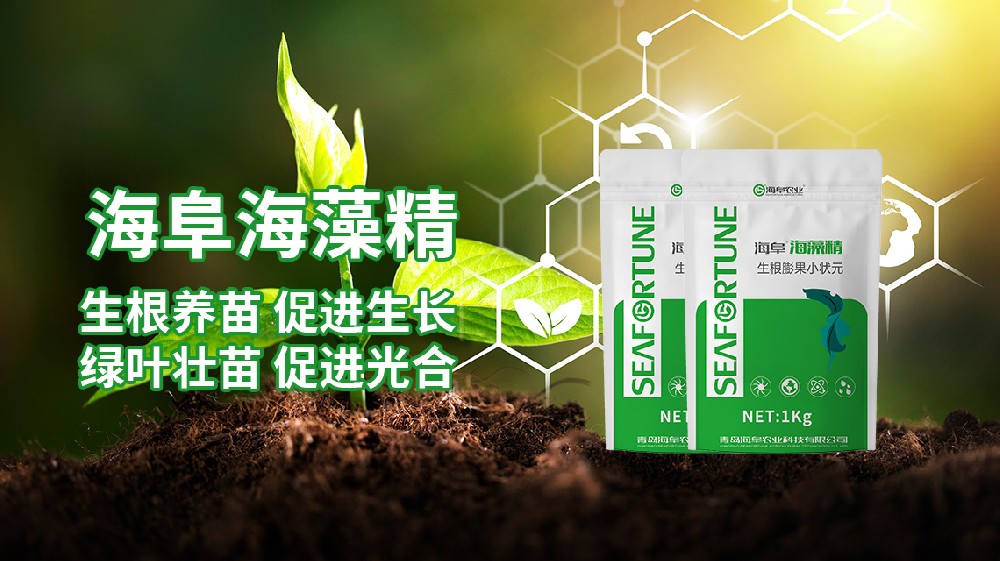 海藻精用量过多的害处有哪些