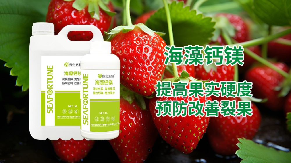 草莓落花后如何正确施肥