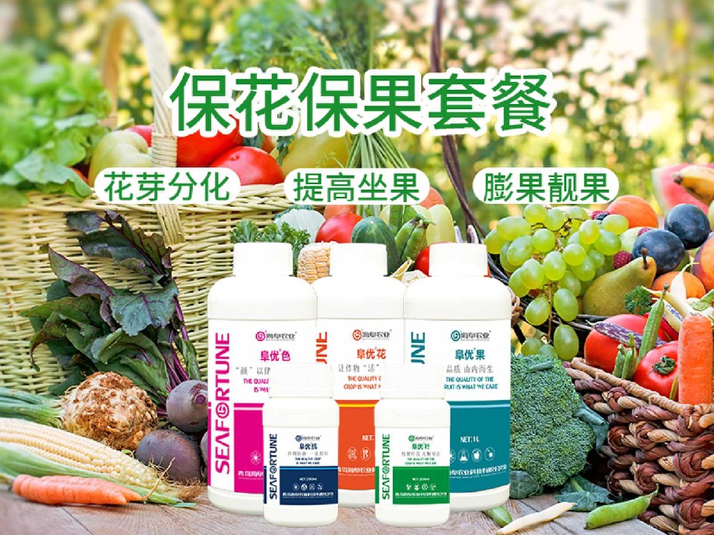 枣树不结果应该怎么处理 原因分析与处理策略