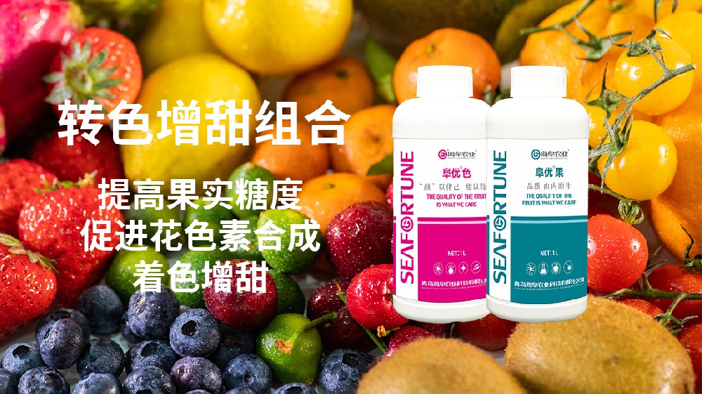 哈密瓜什么时候种植最合适