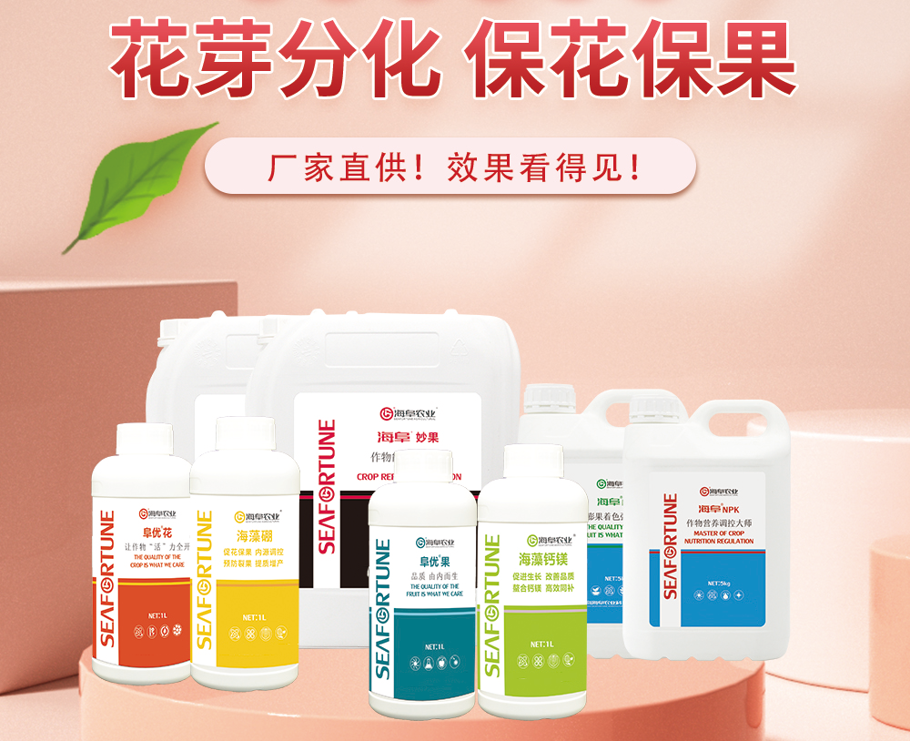 龙眼保花保果用什么肥料 科学施肥策略揭秘