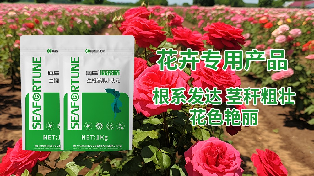 室内花卉植物肥料