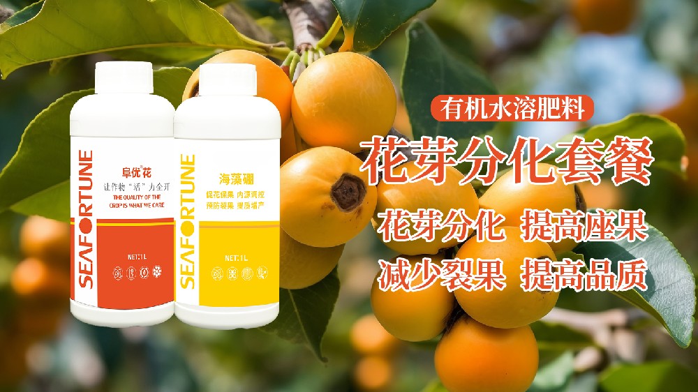 果树应该什么时候施肥 全年肥料选择指南