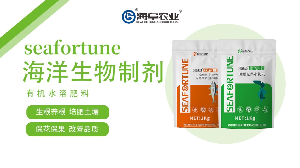 枣树坐果后施肥管理：科学追肥助丰收
