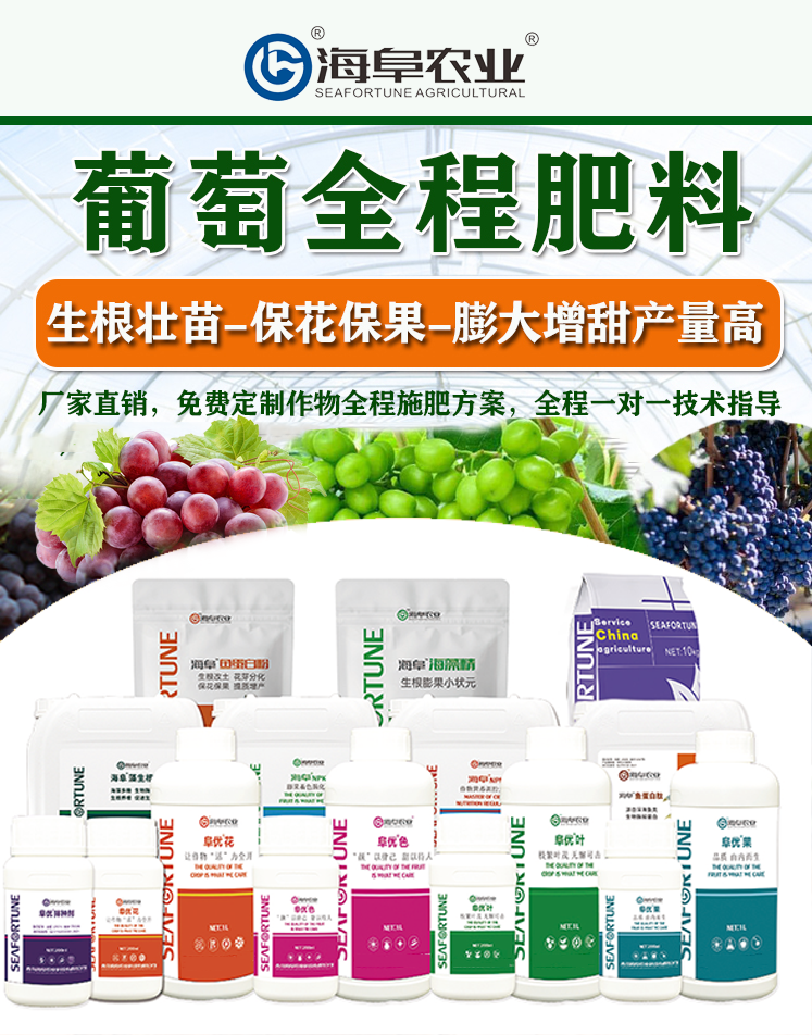 巨峰葡萄怎样提高坐果率 提高坐果率的综合策略